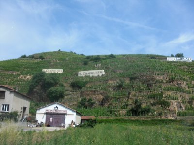 terraces